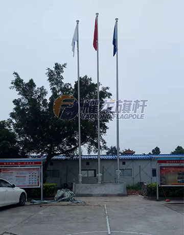 广东佛山企业蜜桃福利导航